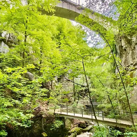 Spacious Family - Train Access, Swim Spa, Veranda, Pétanque, Perfect Base