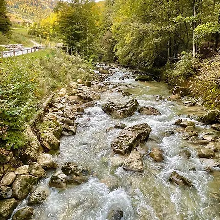 Holiday home With Heated Swim Spa, 3br, Free Parking, Easy Access - Close To Biel & Bern (adults Only) Frinvillier