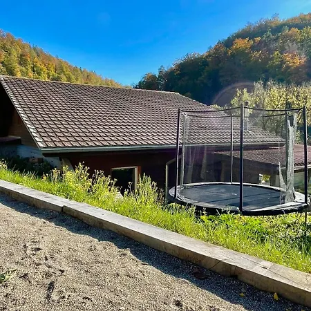 Spacious Family - Train Access, Swim Spa, Veranda, Petanque, Perfect Base (adults Only) Frinvillier