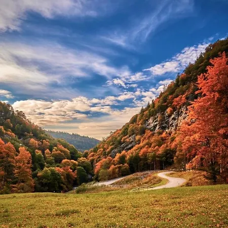 Spacious Family - Train Access, Swim Spa, Veranda, Petanque, Perfect Base (adults Only) Σπίτι διακοπών *