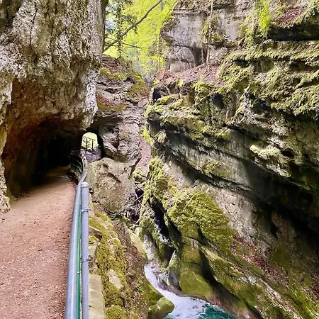 Swiss Chalet-villa Base For Bern, Interlaken & Swiss Alps - Heated Swim & Mountain Views (adults Only) Frinvillier