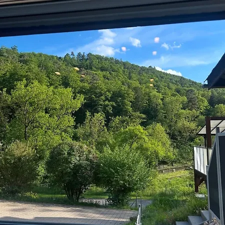 Swiss Chalet-villa Base For Bern, Interlaken & Swiss Alps - Heated Swim & Mountain Views (adults Only) Holiday home Frinvillier
