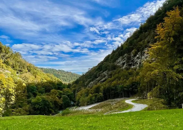 Cozy Swiss Heated Swim Mountain Views Near Bern - Perfect Vacation Base (adults Only) * Frinvillier