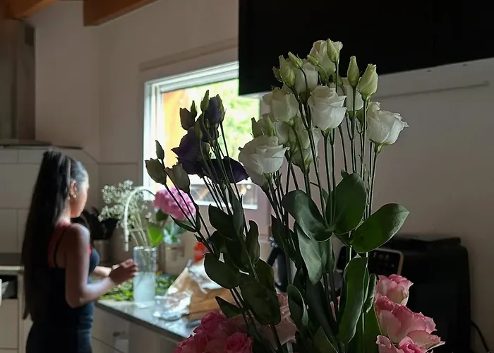 בית נופש Cozy Swiss Heated Swim Mountain Views Near Bern - Perfect Vacation Base (adults Only) *