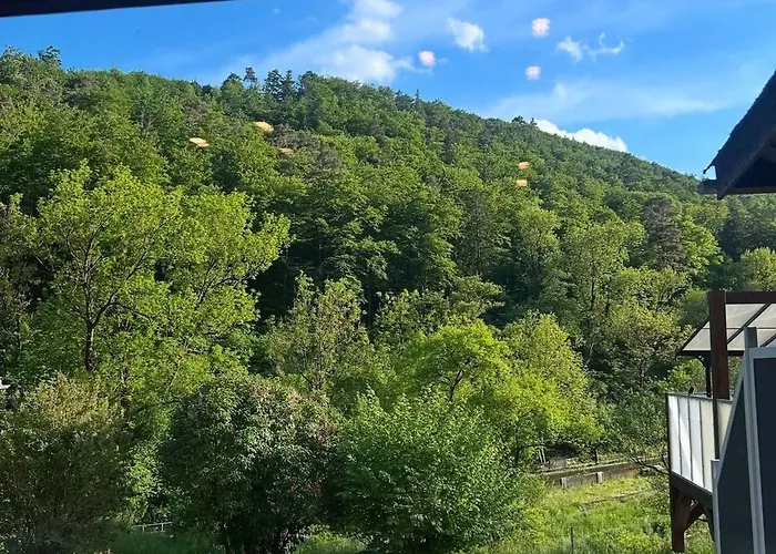 בית נופש Cozy Swiss Heated Swim Mountain Views Near Bern - Perfect Vacation Base (adults Only) Frinvillier