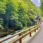Swiss Near Bern With Heated Swim & Mountain Views - Perfect Vacation Base (adults Only) Ferienhaus